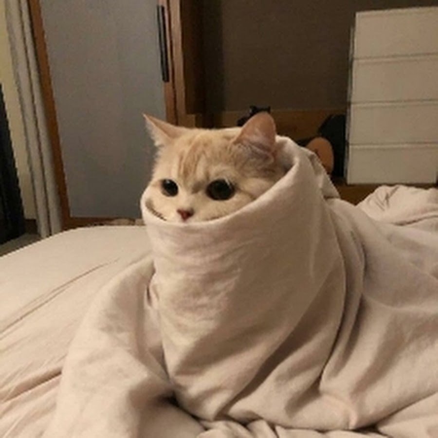 얼음밤