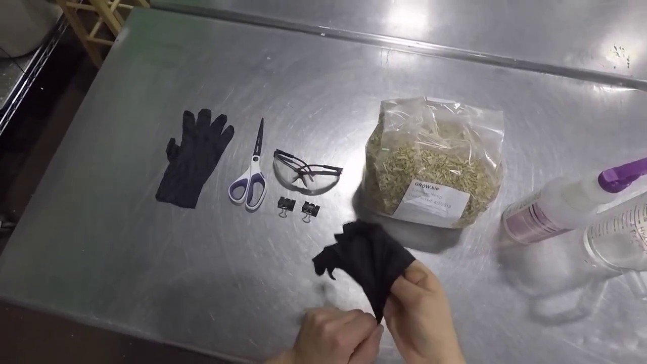 How to Grow Mycelium Material: Step 1