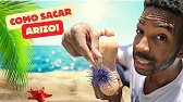 Sacar erizos SIN DOLOR