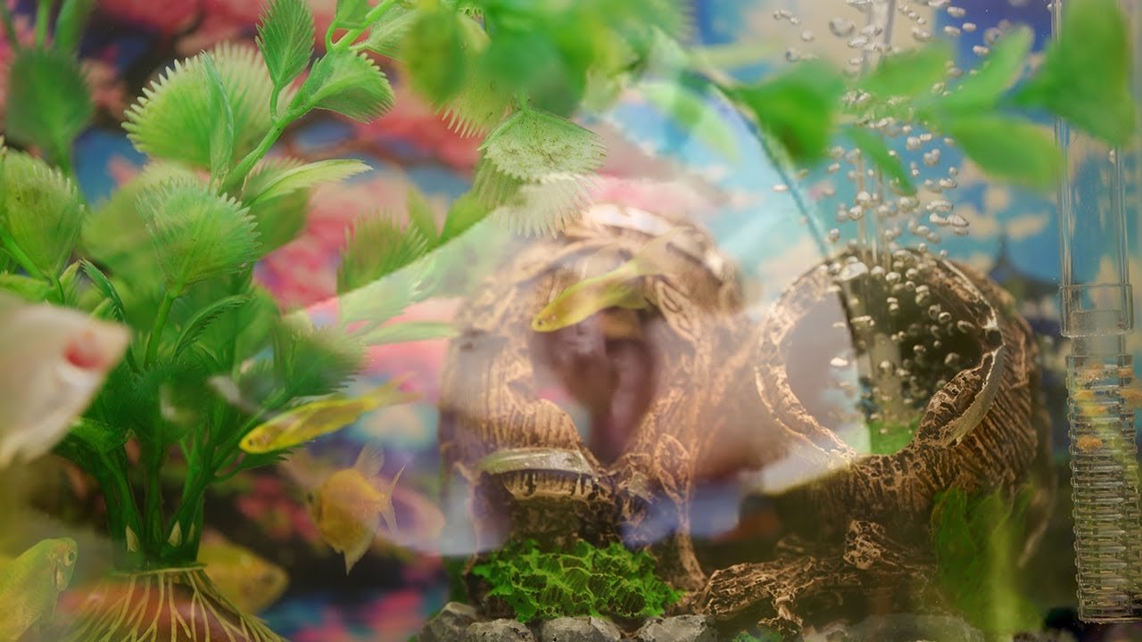 You Won’t Believe What’s Moving Right in Front of the Predator