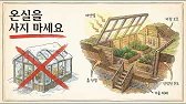 나는 30달러로 “선 트랩(Sun-Trap)” 구덩이를 만들었다 — 추운 기후에서도 열대 과일 재배