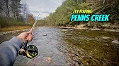 Fall Fly Fishing on Penns Creek for Wild Brown and Native Brook Trout (NEW PB CAUGHT)