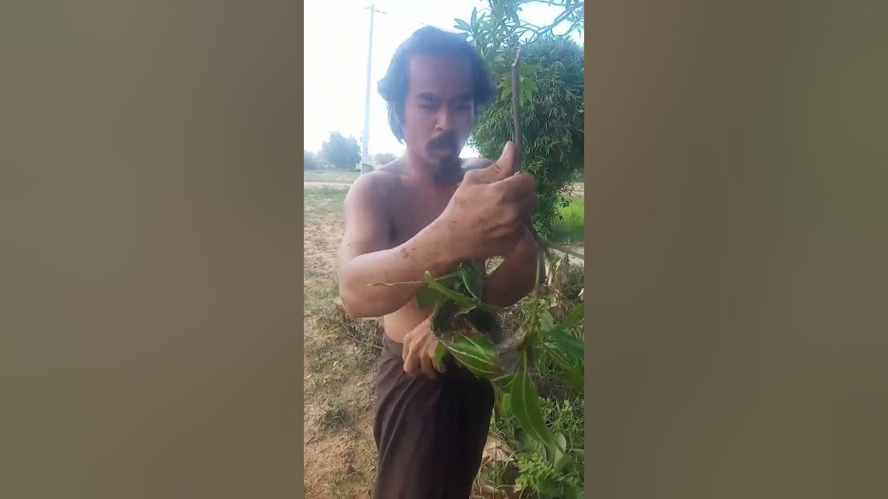 Teacher catches a bug #funnyvideo