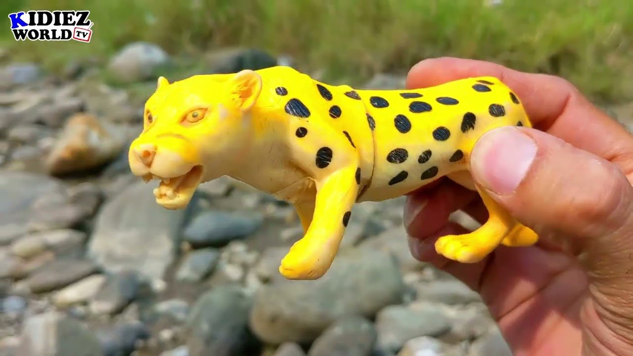 Mountain River Animal Adventure | Learn Wild Animals for Kids in Nature | Kidiez World TV