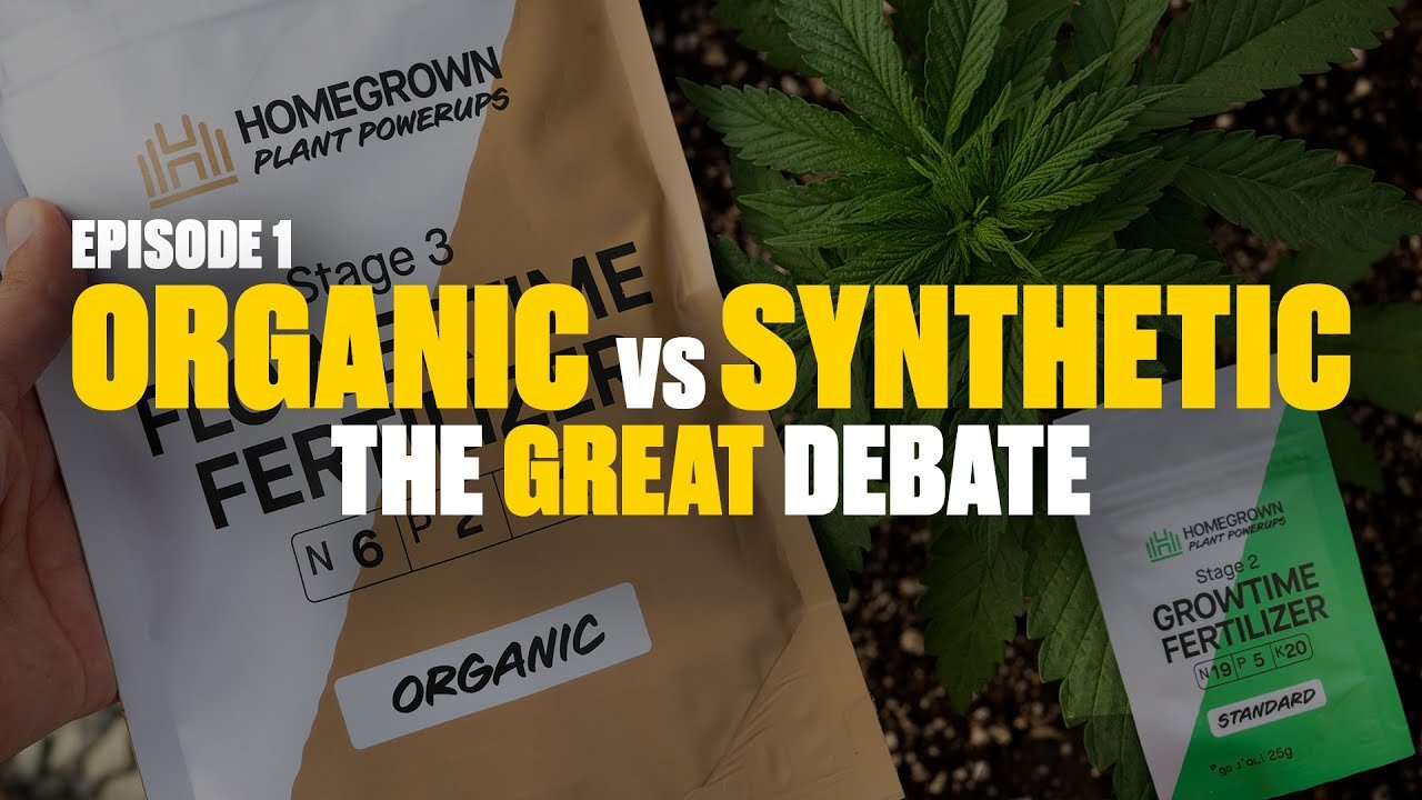 Organic vs Synthetic: Pros & Cons in Home Cultivation