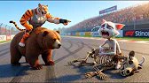 SKINNY CAT Gets Bear Championship