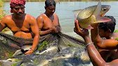 Best Net Fishing | Big fish Catching using by Big Net in the Beautiful Village Pond- Rai Travel