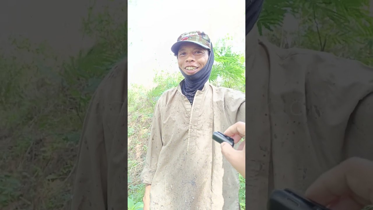 TERNYATA INI MANFAAT GETAHNYA POHON PINUS