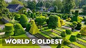 What 330 Year Old Topiary Looks Like - This Garden Is CRAZY