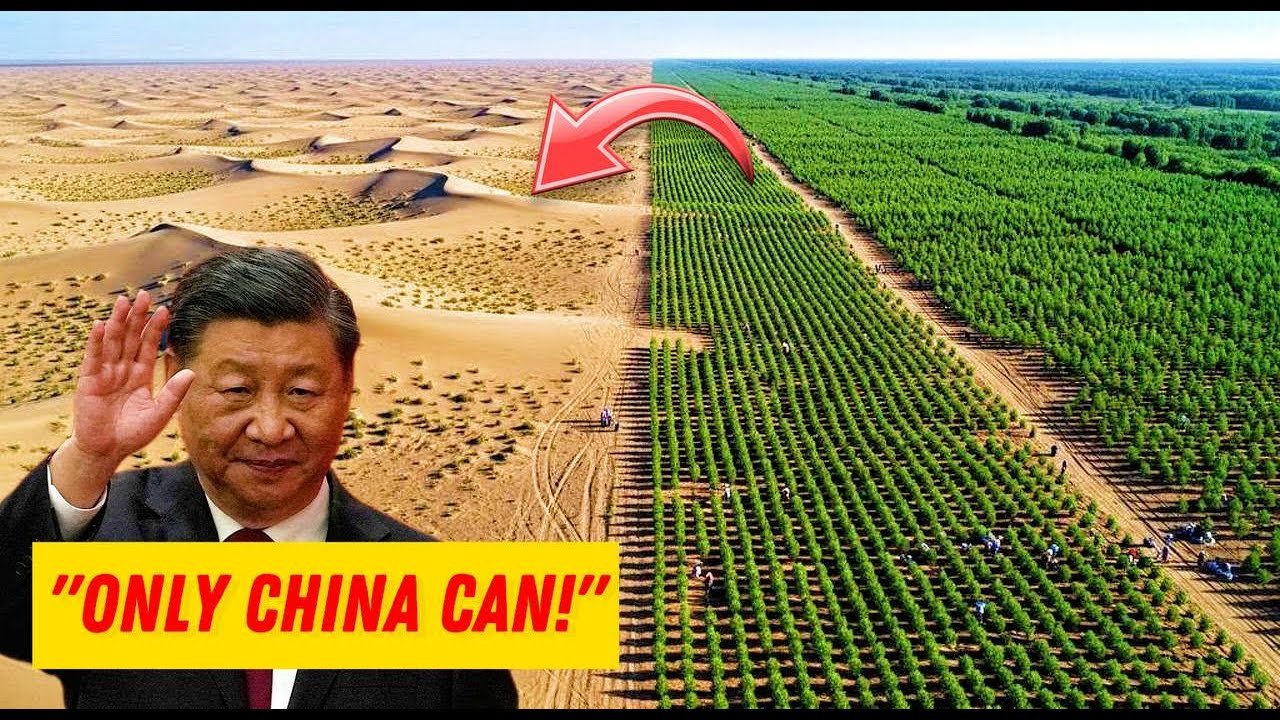 CHINA PLANTED 50 BILLION TREES IN DEAD DESERT — After 8 Years, SCIENTISTS CAN’T BELIEVE THE RESULTS!