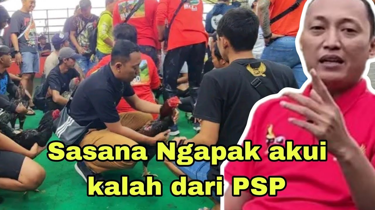 🔴Live... SN jujur kalah sama PSP Farm.