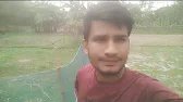 সকাল সকাল নতুন একটা ভিডিও নিয়ে আসলাম অনেক সুন্দর হয়েছে। আর এটা কিন্তু আমার গ্রামের বাড়ি।