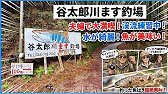 魚が旨くて…限りなくネイティブな管理釣り場！「谷太郎川マス釣場」Ryu’s Lab. 第376弾 #管理釣り場 #ストリーム型 #谷太郎川 #troutfishing