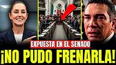 EXPLOTÓ el SENADO… la Reforma de SHEINBAUM Avanza Sin FRENO y ALITO Solo Puede MIRAR Cómo PIERDE