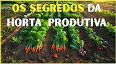 Segredos da Horta Sabedoria dos Nossos Avós