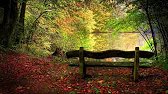 ERNESTO CORTAZAR Remembrance Autumn Song