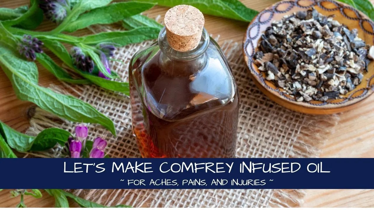 Let's Make Comfrey Infused Oil | The Quick Method