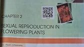 Sexual Reproduction in Flowering Plants | Class 12 Biology | Full Chapter Explained