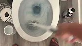 I ALWAYS clean my toilet like THIS
