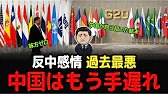 ズバリ解説、世界54%が中国を拒否する本当の理由｜嫌悪ではなく"恐怖"が暴走している