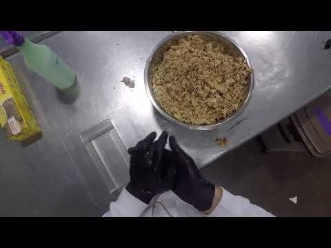 How to Grow Mycelium Material: Step 2