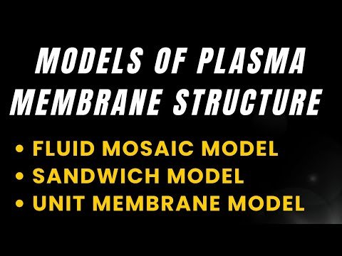 Models of plasma membrane structure | Fluid mosaic model, Sandwich model, Unit membrane model