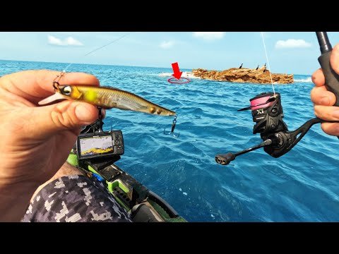 Big Fish Lurk Around These Rock Heads! (fishi...