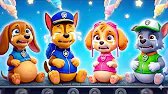 ¿Paw Patrol está embarazada? ¡RYDER, por favor, no dejes sola a CHASE! | PAw PatRol en Español