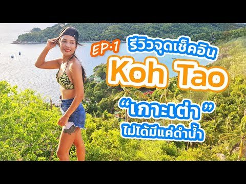 เกาะเต่ามีครบ ดำน้ำ เดินป่า ปีนเขา เดินขึ้น V...