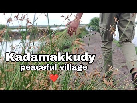 Evening Vibe Kadamakudi Village ❤️ Sunday Drive 💕😉