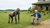 This Old Man Fed A Starving Gorilla — The Gorilla's Response Brought Him To Tears