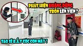 Biến Căng | Hiếu Khểnh Phát Hiện Hoàng Dũng Lên Viện Để B.ắ.t Cóc Đứa Con Mới Chào Đời...