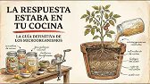 ¡Incluso las plantas MUERTAS crecieron explosivamente! Dale a tu jardín este líquido microbiano de$0