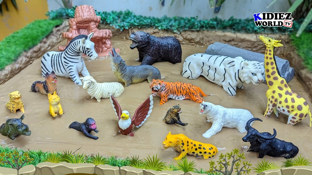 Fun Learning Herbivore, Carnivore and Omnivore Animals for Kids