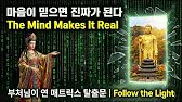 사형수는 왜 맹물을 맞고 쇼크사했을까? 아뢰야식이 당신의 죽음을 방관하는 이유