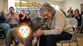 Adoption Day: When Dogs Find Their People | Part 1