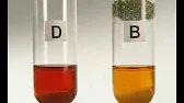 Using a hydrogen carbonate indicator to measure carbon dioxide levels