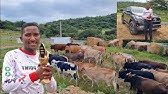 Menzi Mabizela ugonyuluka ngempilo yakhe (Interview 2026)