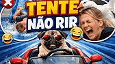 FUNNY VIDEOS THAT WILL MAKE YOU LAUGH 🤣