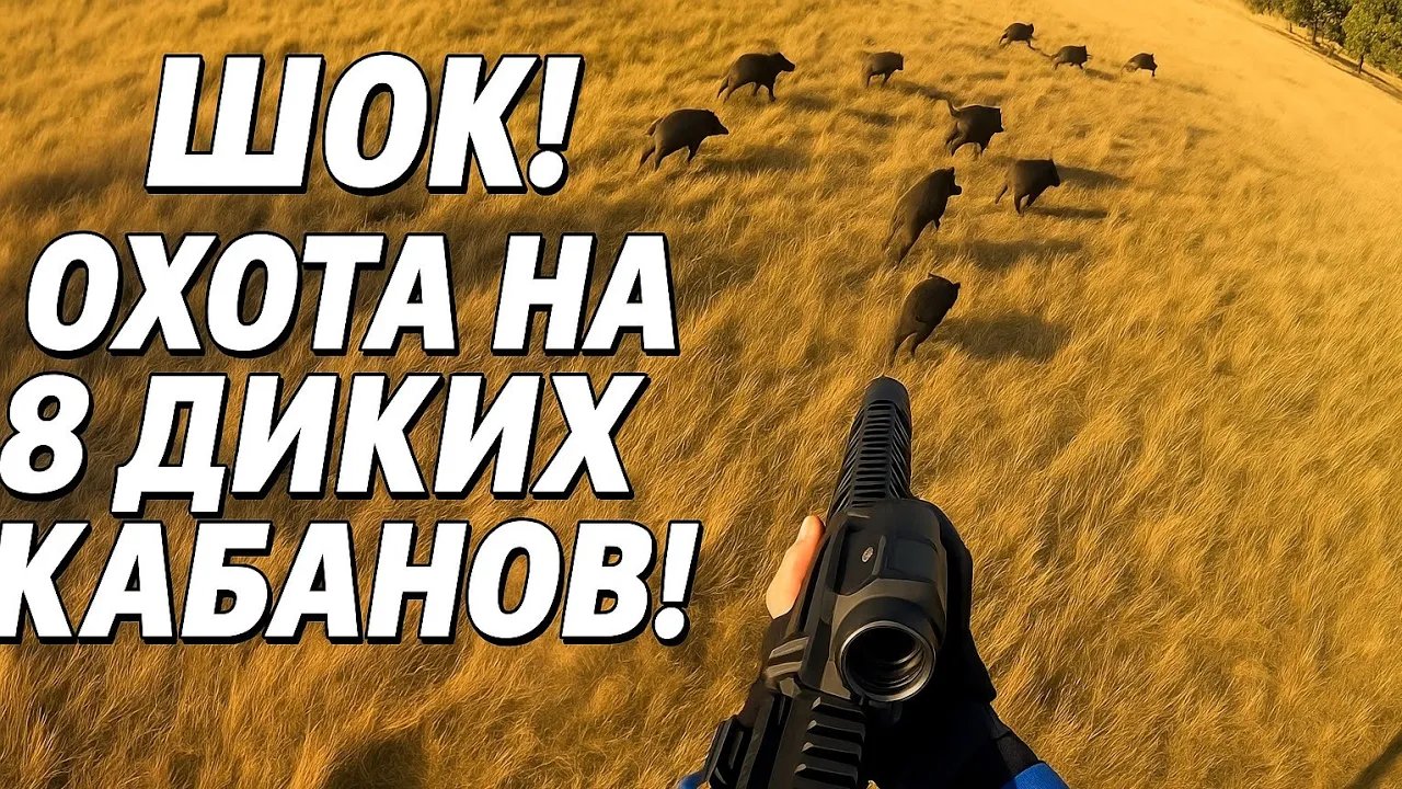 Лучшие выстрелы по кабанам с вертолёта — Безумная воздушная охота!