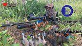⭕️FOREST CHICKEN HARVEST IN THE RAINY SEASON 🌧 🌧🌧 _The bonus is turtledoves ⭕️