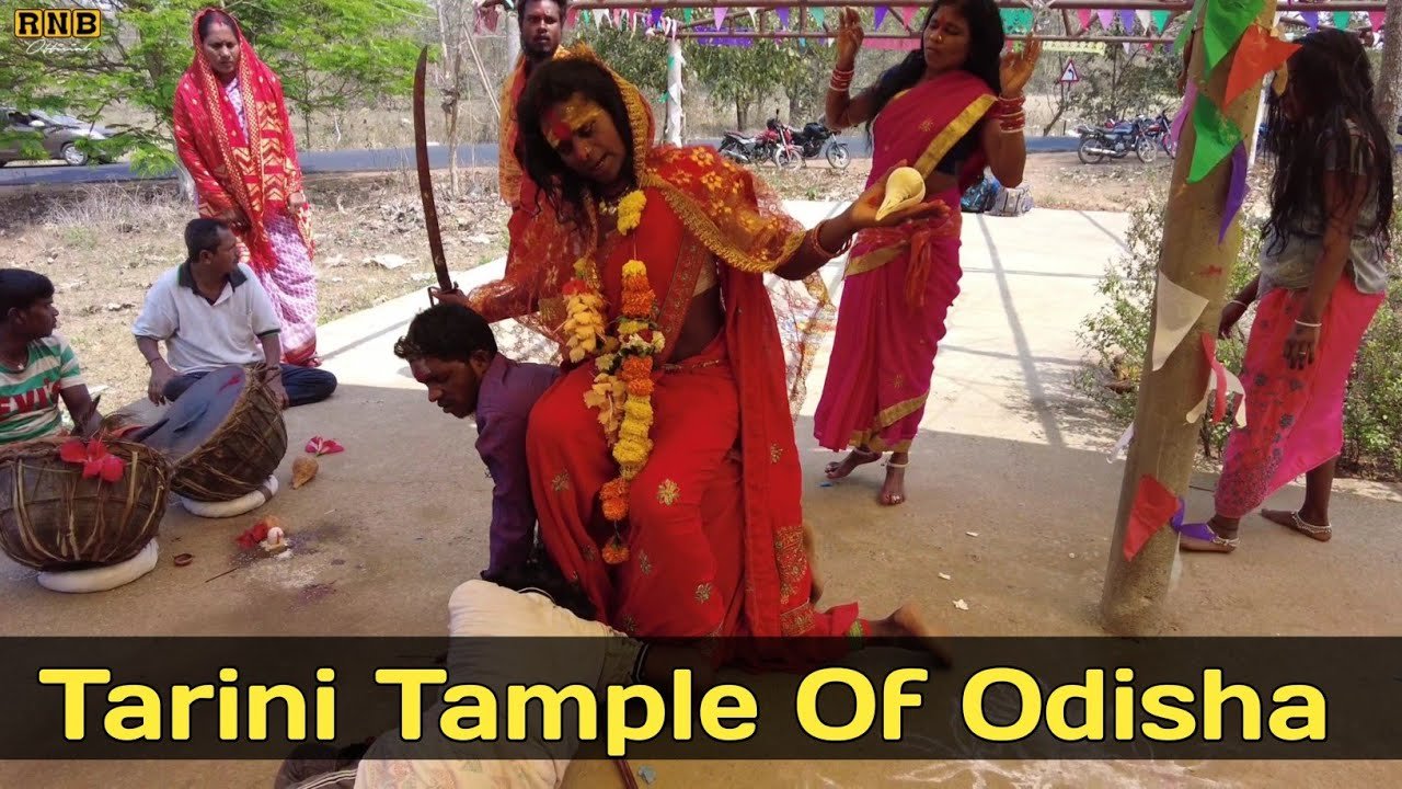Tarini Tample Puja MV-79 | Very Powerful God Fastival Adivasi Village Odisha 🪧 business Of Public