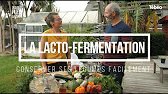 Comment réaliser une lacto-fermentation facilement ?