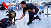 Dog Suddenly Runs Towards A Suitcase. Airport Police Open It and Start To Cry!
