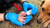 The Incredible Struggle of a Mother Whose Milk Dried Up from Starvation