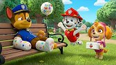 ¡SE RECUPERA! 💖 Chase vuelve a sonreír gracias a sus amigos | PAW Patrol en Español