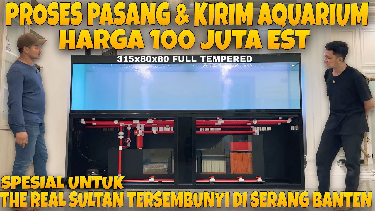 PROSES PASANG AQUARIUM HARGA 100 JUTA KIRIM KE SULTAN TERSEMBUNYI SERANG BANTEN RATNO KACA AQUARIUM