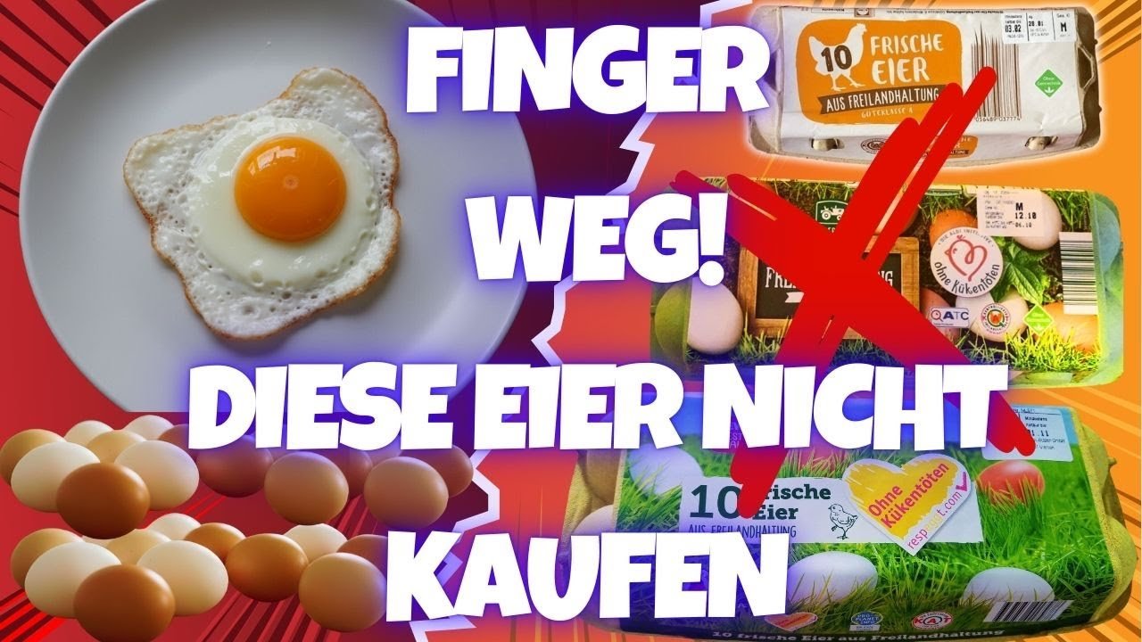 Kaufst du diese Eier? 10 Eier-Marken, die du Sofort meiden solltest