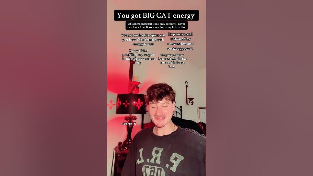 You Got BIG CAT Energy