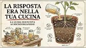 Persino le piante MORTE sono esplose di crescita! Dai al tuo giardino questo liquido microbico da 0$
